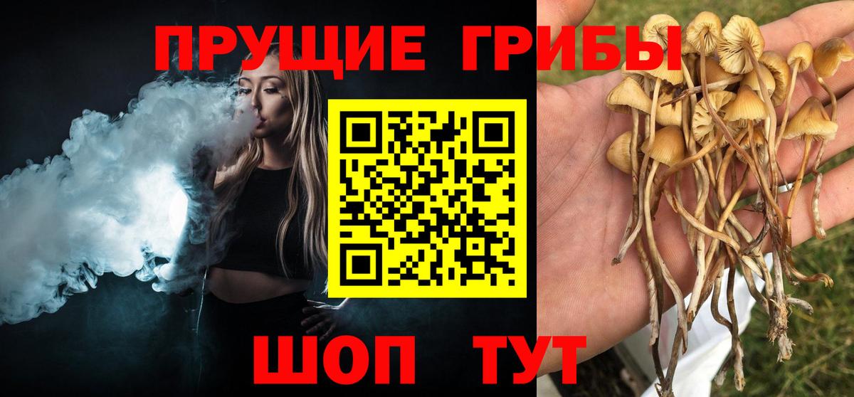Псилоцибиновые грибы GOLDEN TEACHER Ессентуки